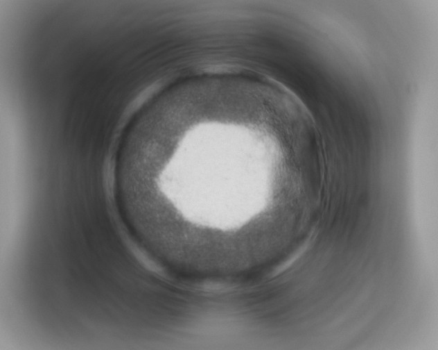 X0000113990725200910091337