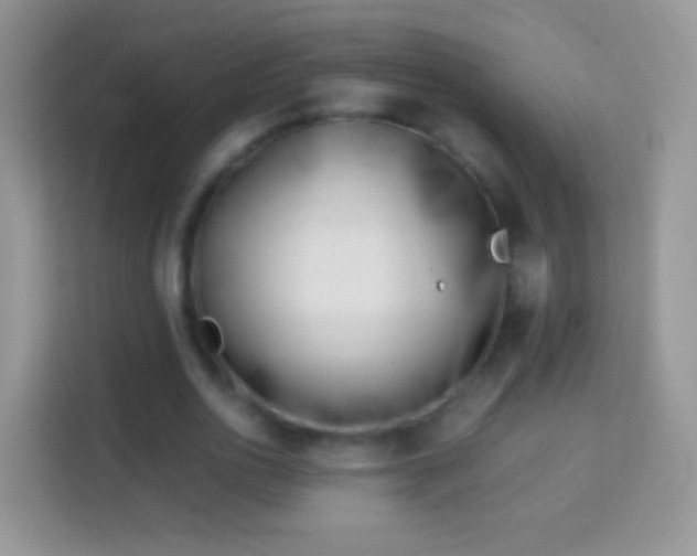 X0000113990726200910091337