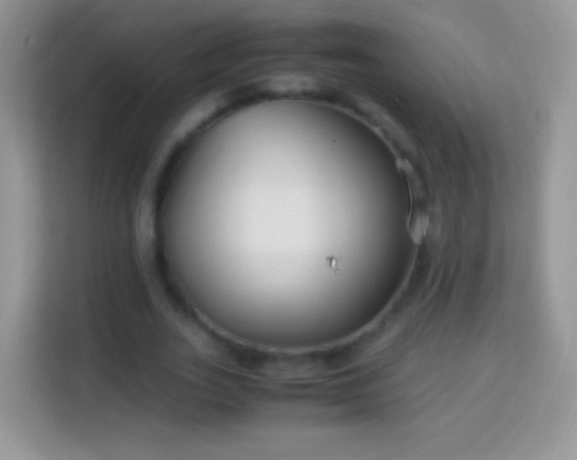 X0000113990727200910091337