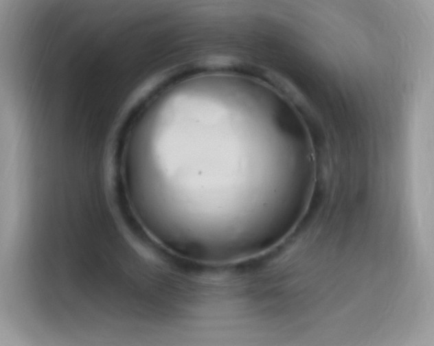 X0000113990728200910091338