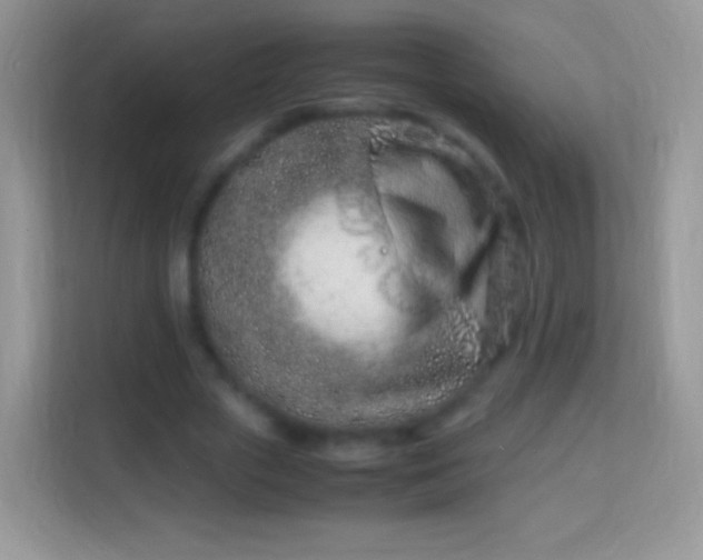 X0000113990729200910091338