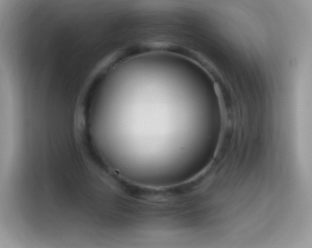 X0000113990731200910091338