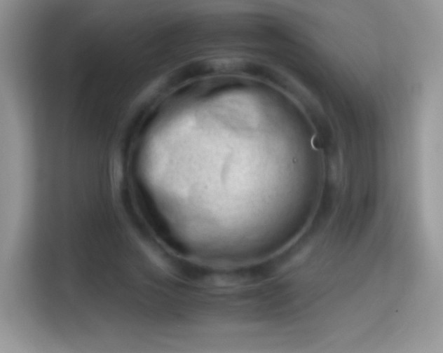 X0000113990733200910091338