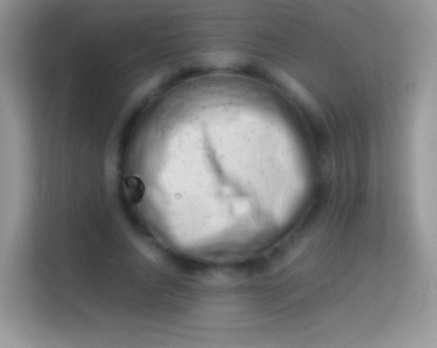 X0000113990736200910091338