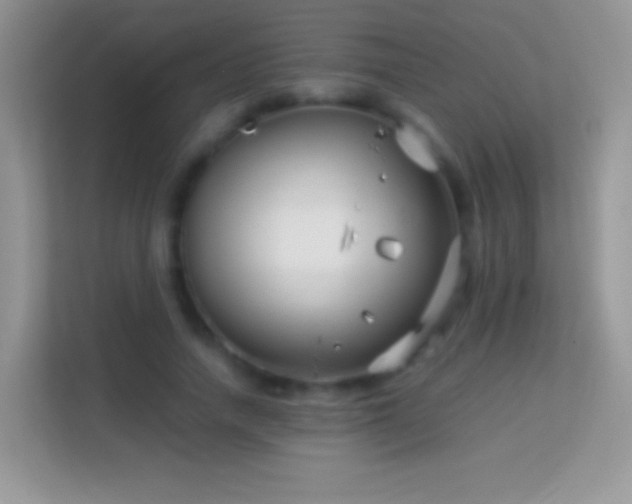 X0000113990738200910091338