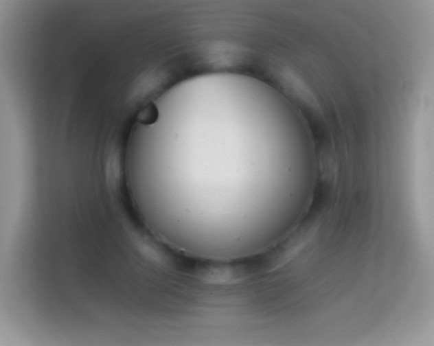 X0000113990740200910091338