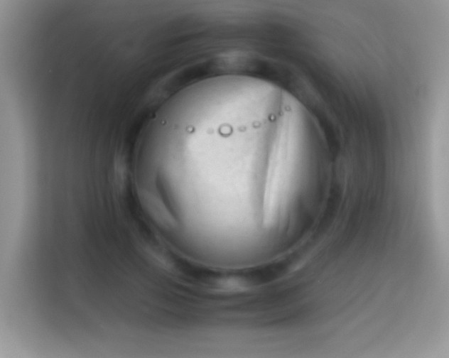 X0000113990741200910091338