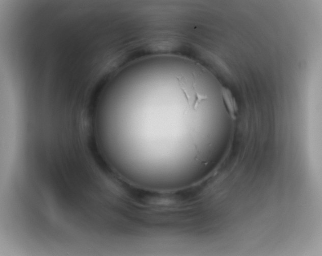 X0000113990743200910091338