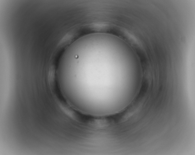 X0000113990744200910091338