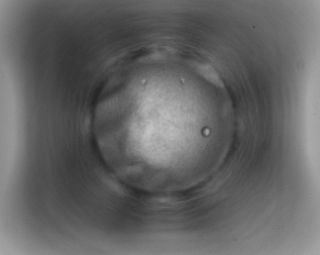 X0000113990745200910091338