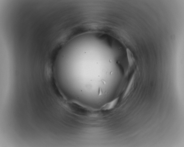 X0000113990746200910091338