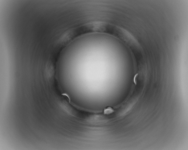 X0000113990748200910091338