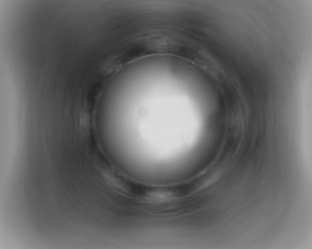 X0000113990749200910091338