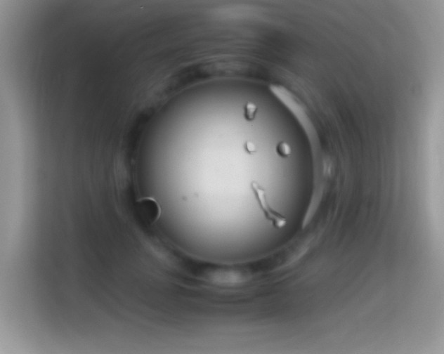 X0000113990751200910091338