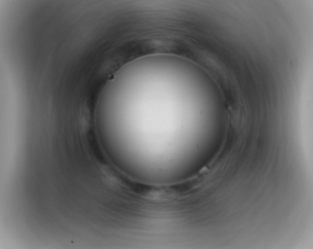 X0000113990752200910091338