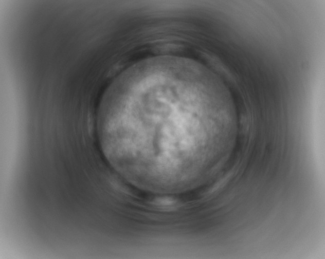 X0000113990753200910091338