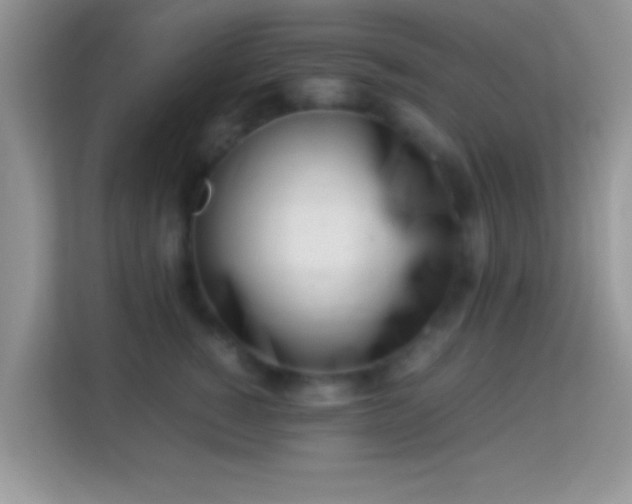 X0000113990760200910091338