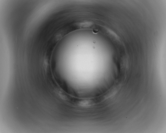 X0000113990761200910091338