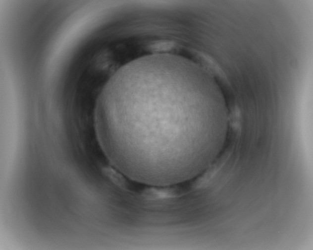 X0000113990763200910091338