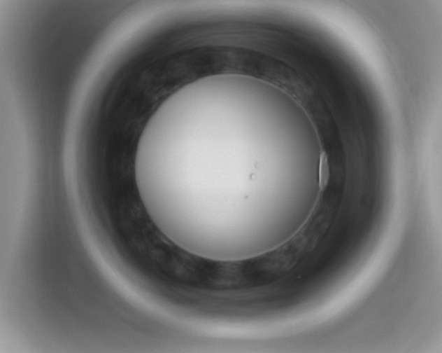 X0000113990766200910091338