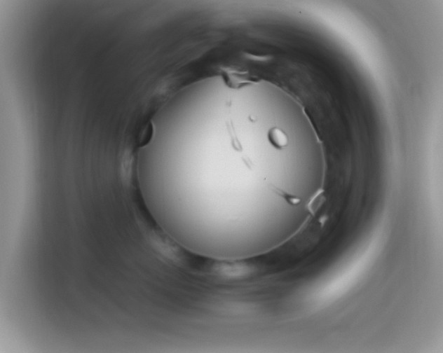 X0000113990767200910091338