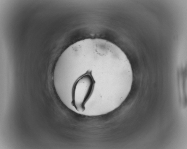 X0000113990769200910091337