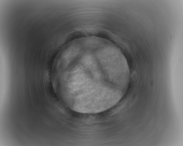 X0000113990772200910091337