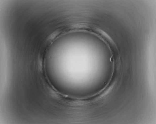 X0000113990777200910091337