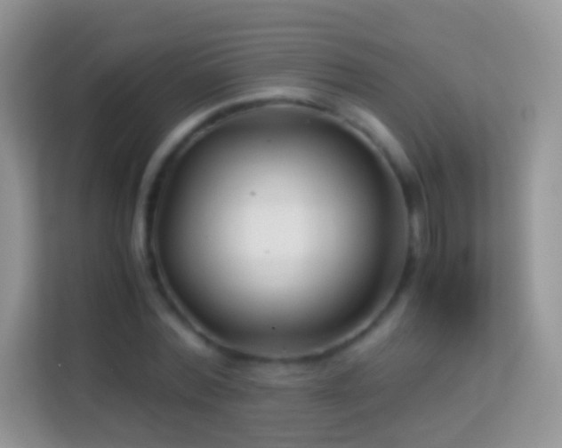 X0000113990780200910091337