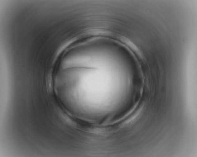 X0000113990782200910091337