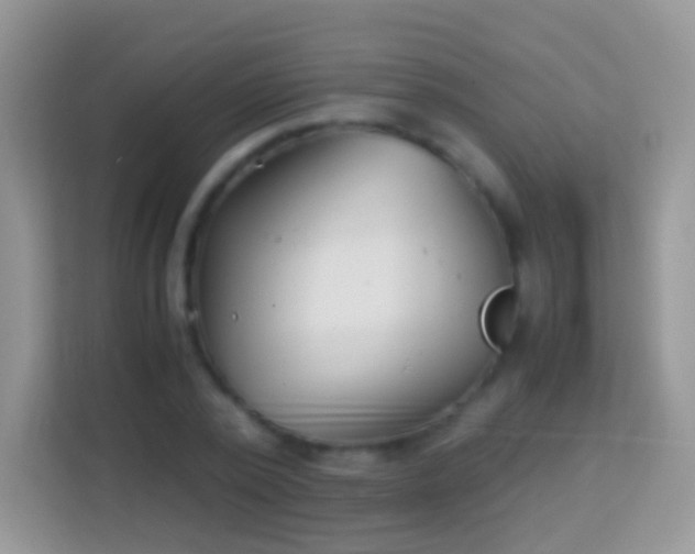 X0000113990784200910091337