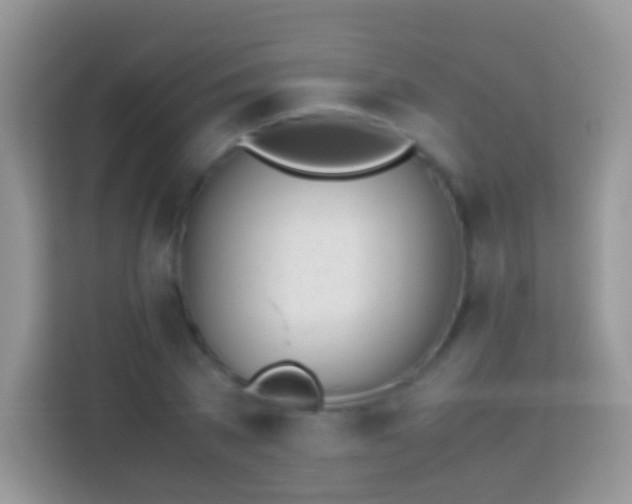 X0000113990785200910091337