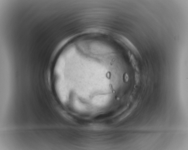 X0000113990788200910091337