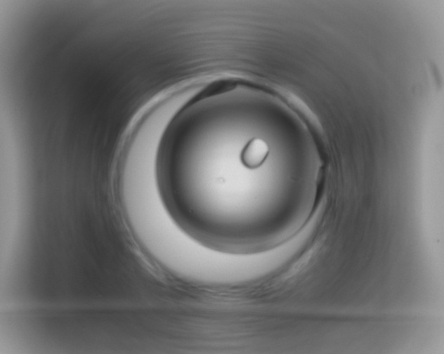 X0000113990789200910091337