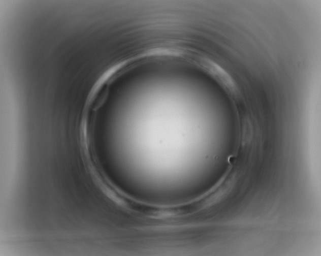 X0000113990796200910091337