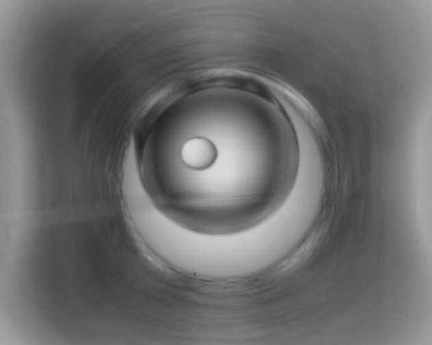 X0000113990801200910091337