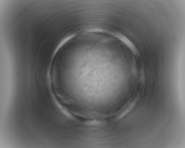 X0000113990806200910091337