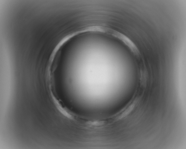 X0000113990808200910091337