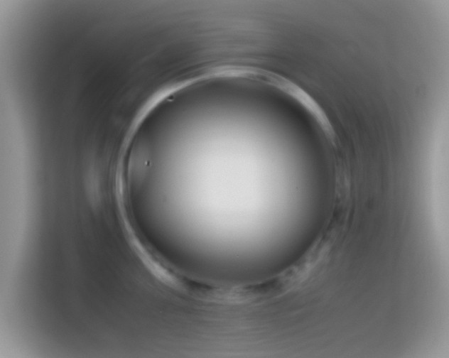 X0000113990811200910091337