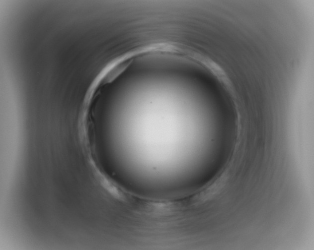 X0000113990816200910091337