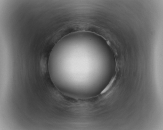 X0000113990818200910091336