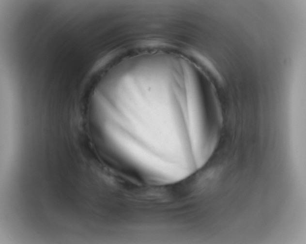 X0000113990823200910091336