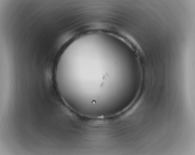 X0000113990826200910091336