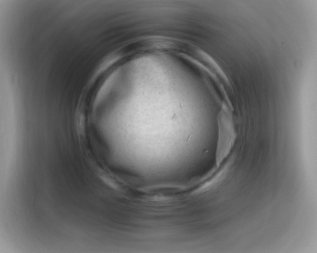 X0000113990827200910091336