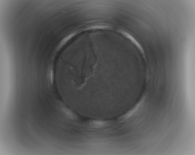 X0000113990829200910091336