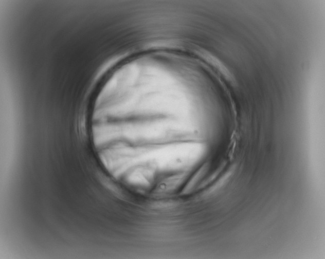 X0000113990830200910091336