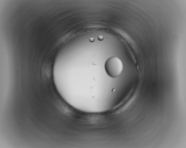 X0000113990833200910091336