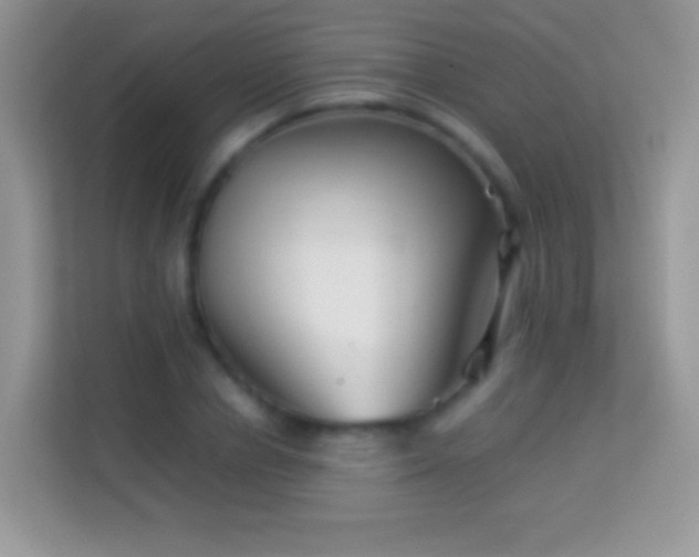 X0000113990834200910091336