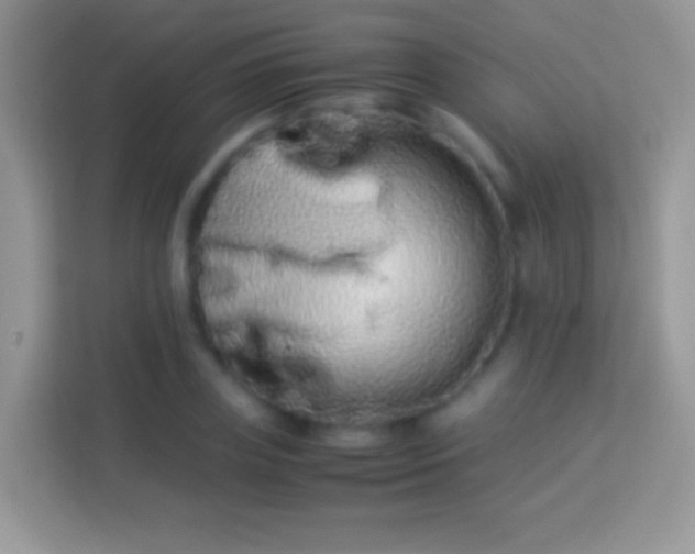 X0000113990835200910091336