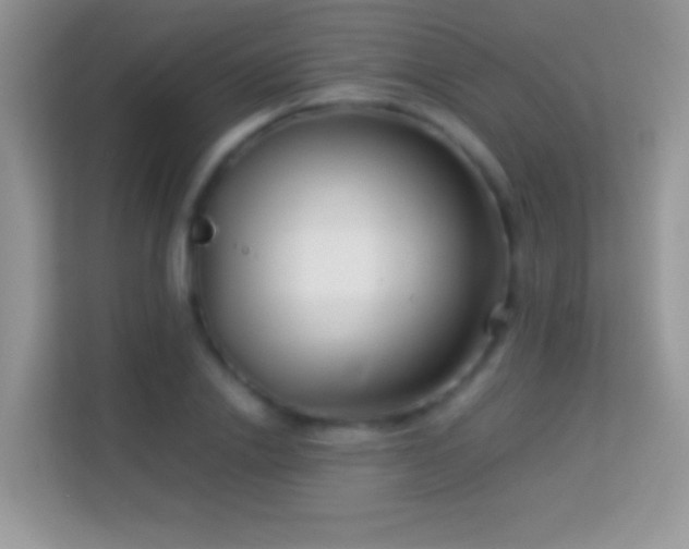 X0000113990838200910091336